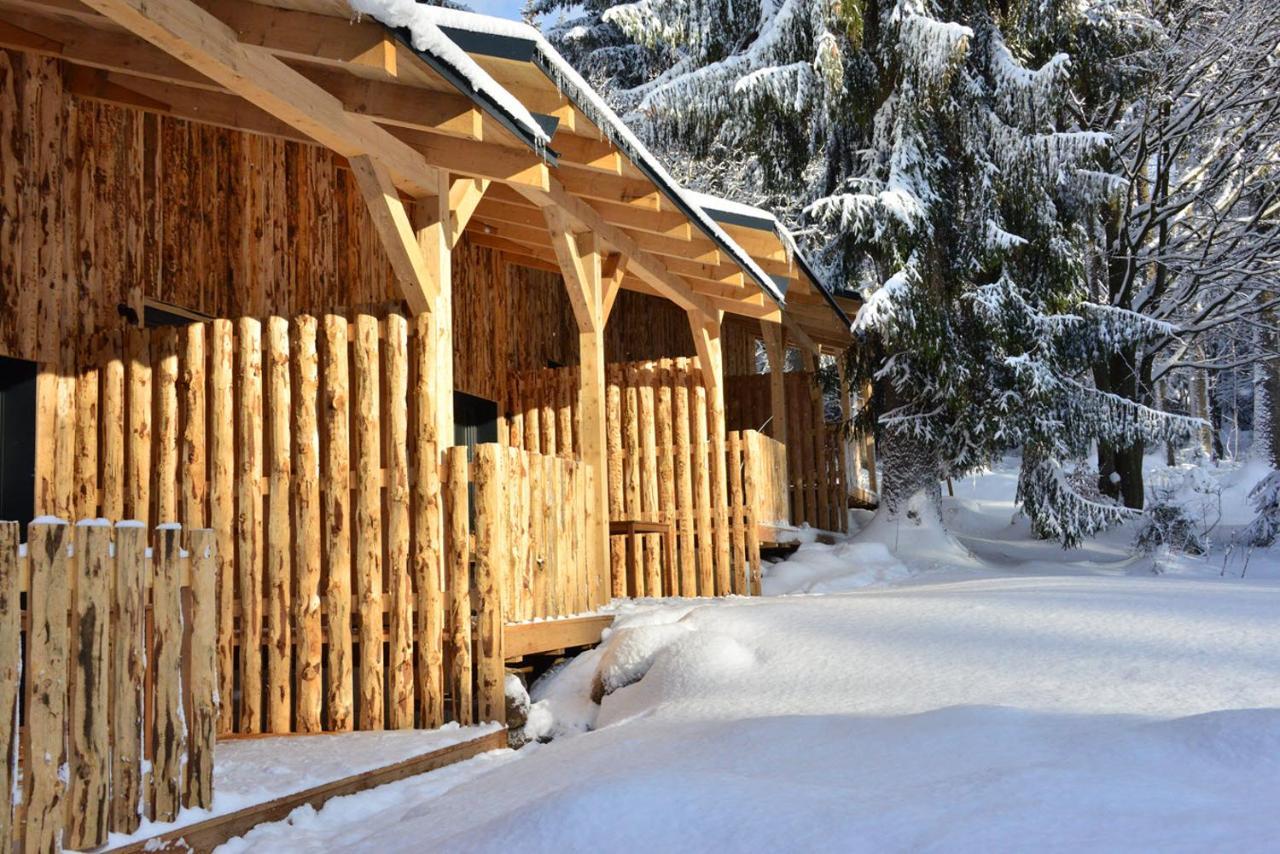Montanie Resort Desná エクステリア 写真